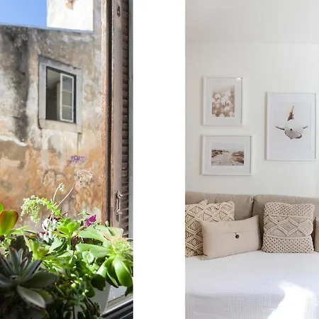 Cozy One Bedroom In The Heart Of Historic Center